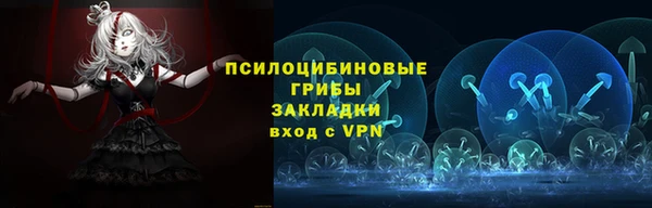 стаф Алзамай