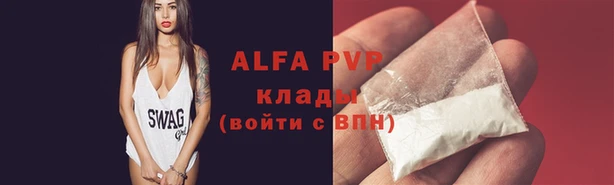 стаф Алзамай