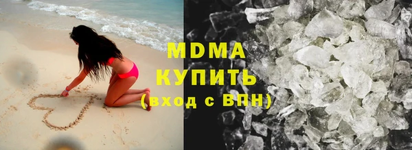 стаф Алзамай