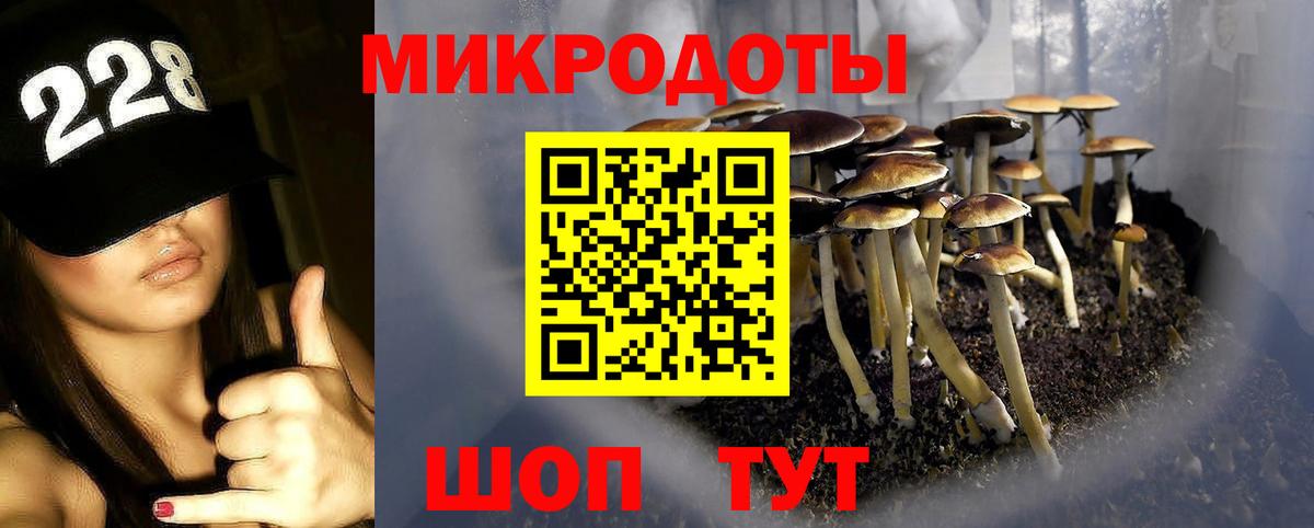 Псилоцибиновые грибы Cubensis Златоуст